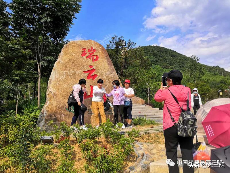菡萏初放,端午安康,三明文旅市场平稳回升