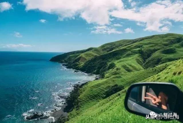 引入活青口贝、鲜帝王鲑,新西兰海产出口商的新生力量!