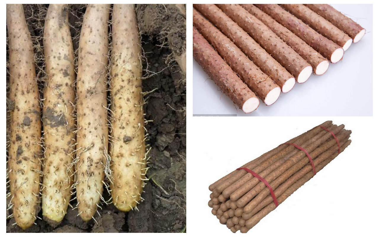 铁棍山药怎么做好吃又简单视频,铁棍山药怎样给孩子炒着吃