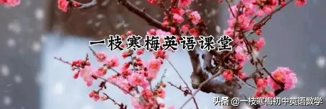 中考英语长难句精解100句,中考英语同义句转换口诀