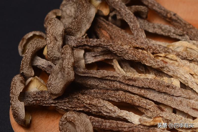 和鹿茸菌长得很像的菌子有哪些,鹿茸菌是不是珍贵食材