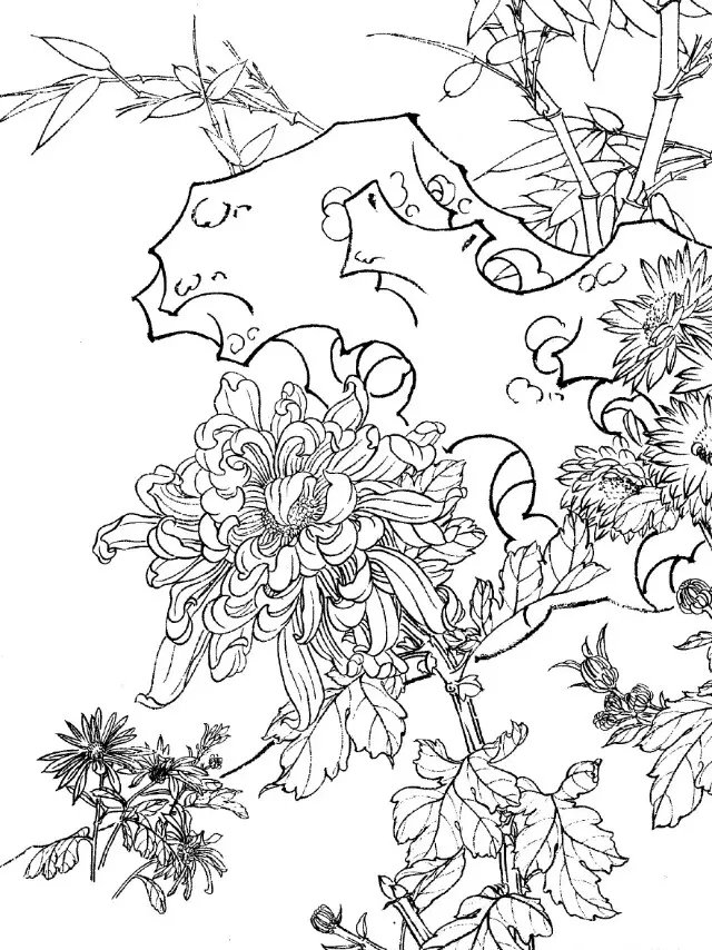 如何画菊花小写意步骤,菊花各种姿态写意画法