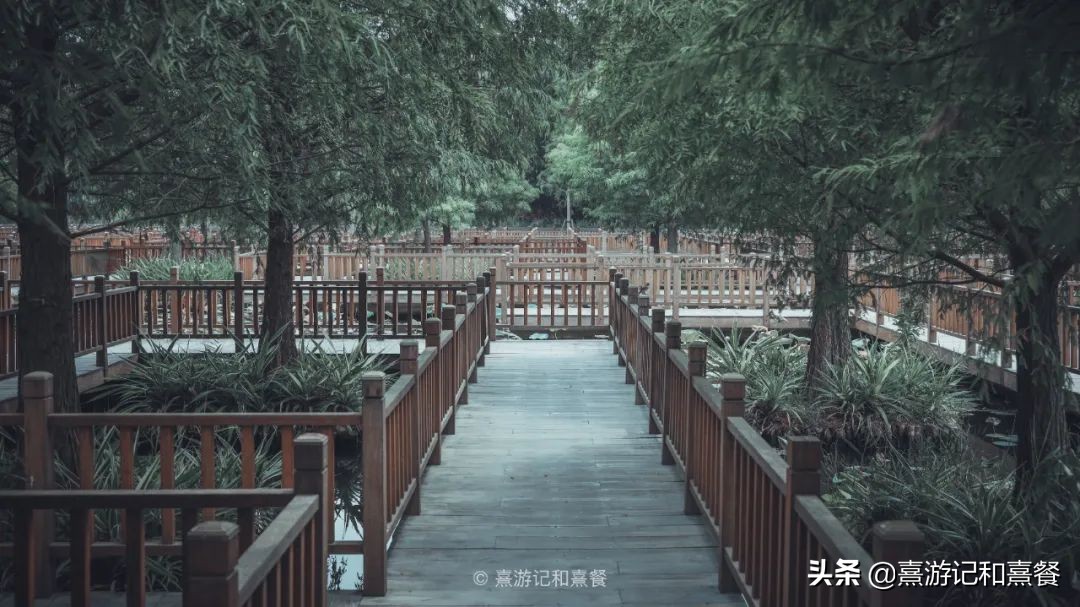 去厦门必须体验的六件事,送给第一次去厦门的五点建议