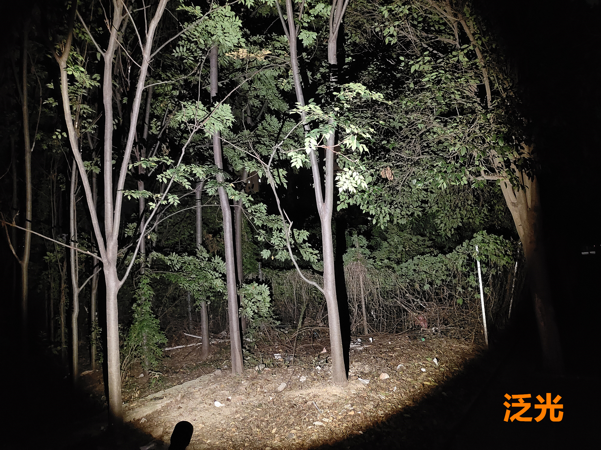 鍦ㄨ矾涓奿5鎵嬬數娴嬭瘎,鍦ㄨ矾涓奿5鎵嬬數璇勬祴