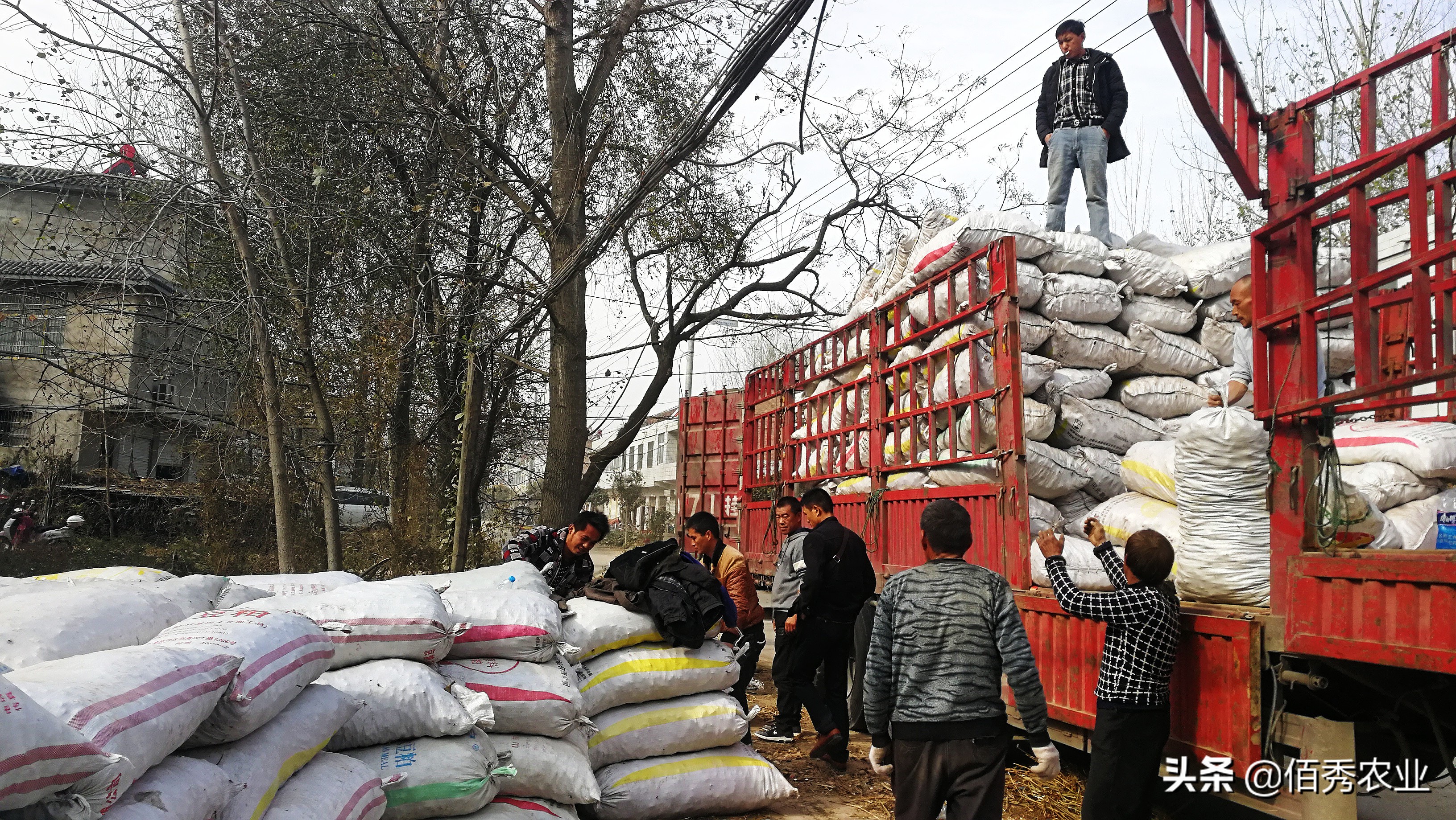 40万在农村能做什么,不想外出打工的农民能干什么