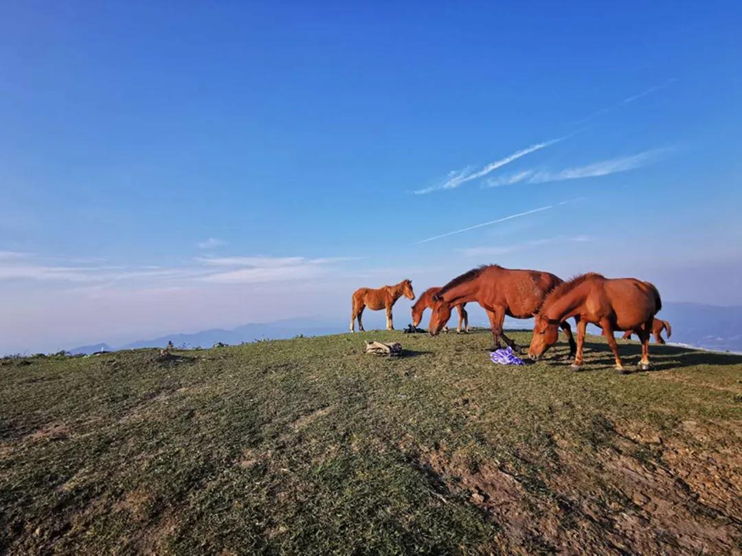 平天山航拍,卫星航拍平天山