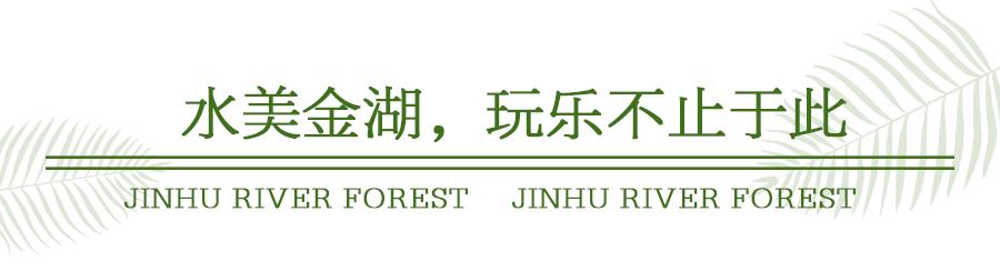 森氧之地,秋游必选!金湖万亩水上森林,真的别有趣味