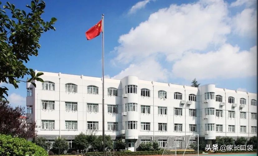 上海热门小学隐藏技：芭蕾、乒乓、游泳、书法、科技……样样有