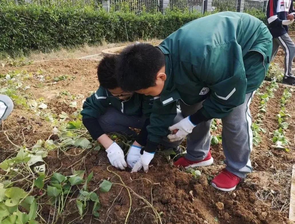 三位校长,三名校长