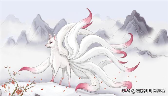 狐属于什么动物,狐是猫科动物吗