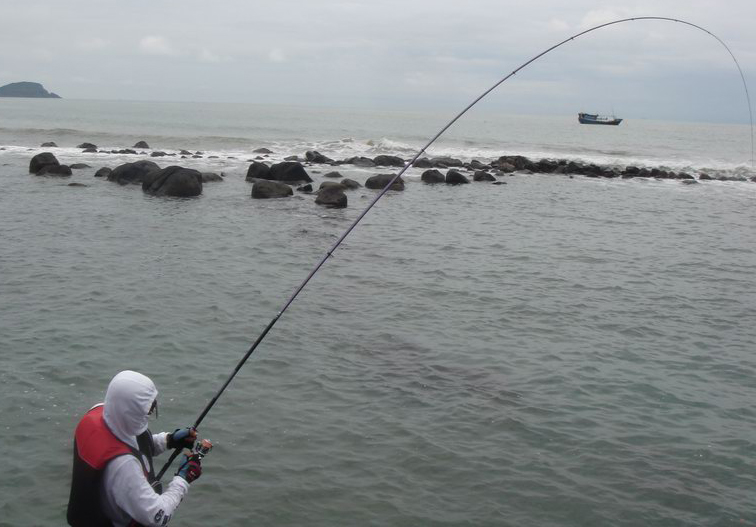 钓了这么多年鱼发现还是抛竿用着得劲儿,我竟然划分出了17种……