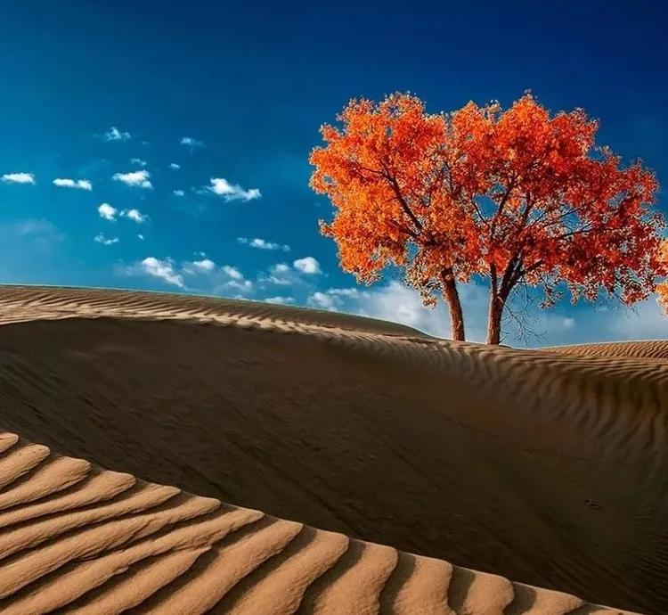 中国最神秘的一个地方是什么,中国最神秘的地方