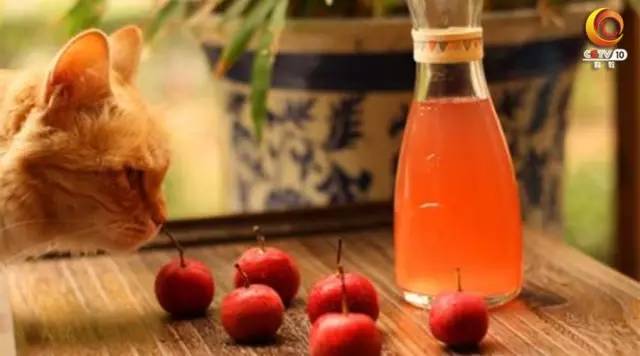 水垢茶垢去除小妙招,厕所水垢去除小妙招