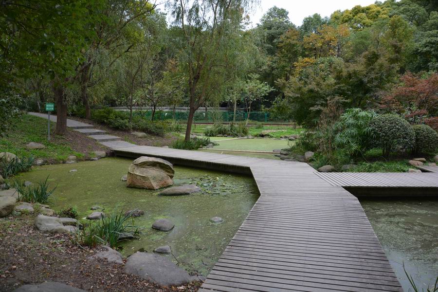 上海吴淞炮台湾湿地森林公园攻略,魔都上海共青森林公园