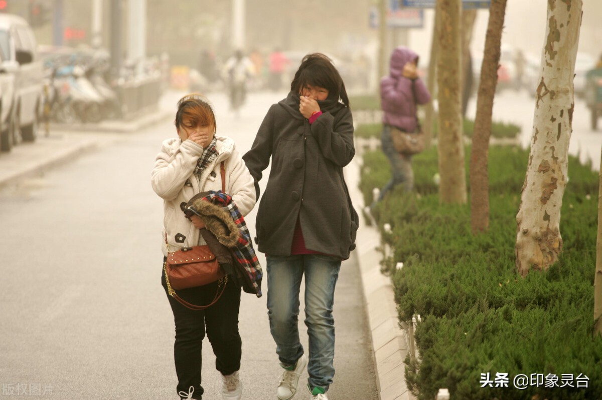 诗歌:冬天的风/冯永乐