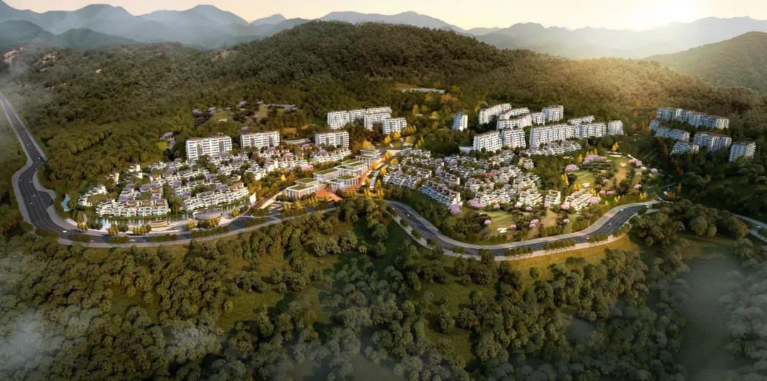 弹子石半岛,弹子石半岛面积