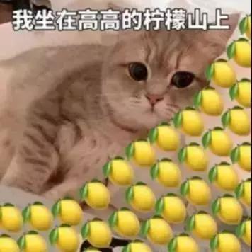 购物新技能你学会了吗,新技能一学就会