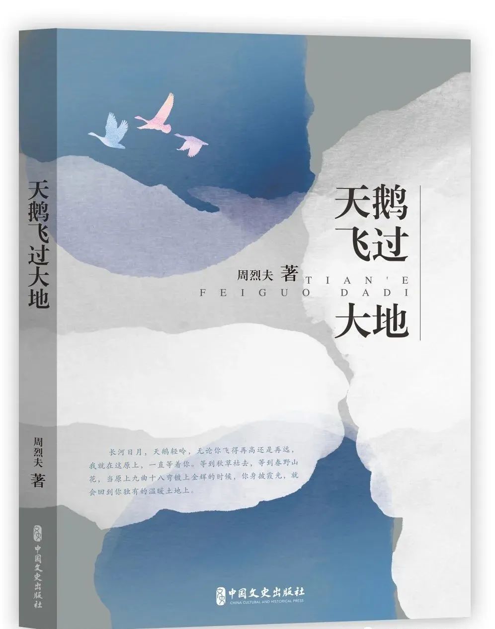 天鹅飞过大地,我想到*疆新**去!