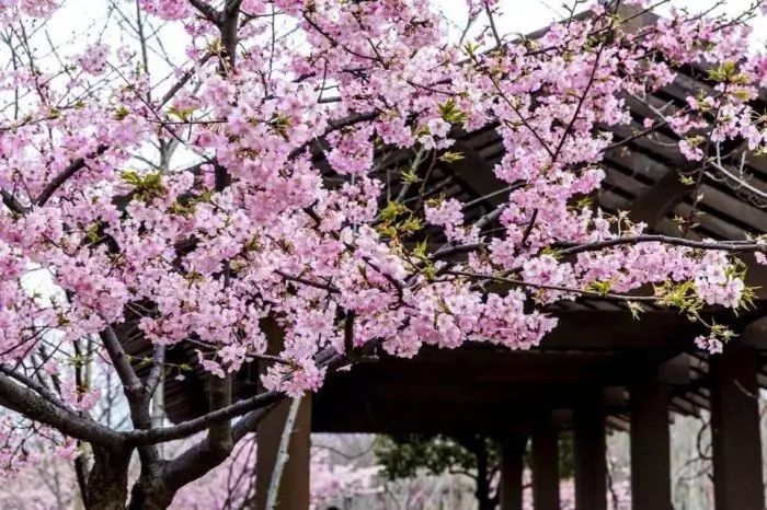 关于上海的关键词,上海关键词搜索