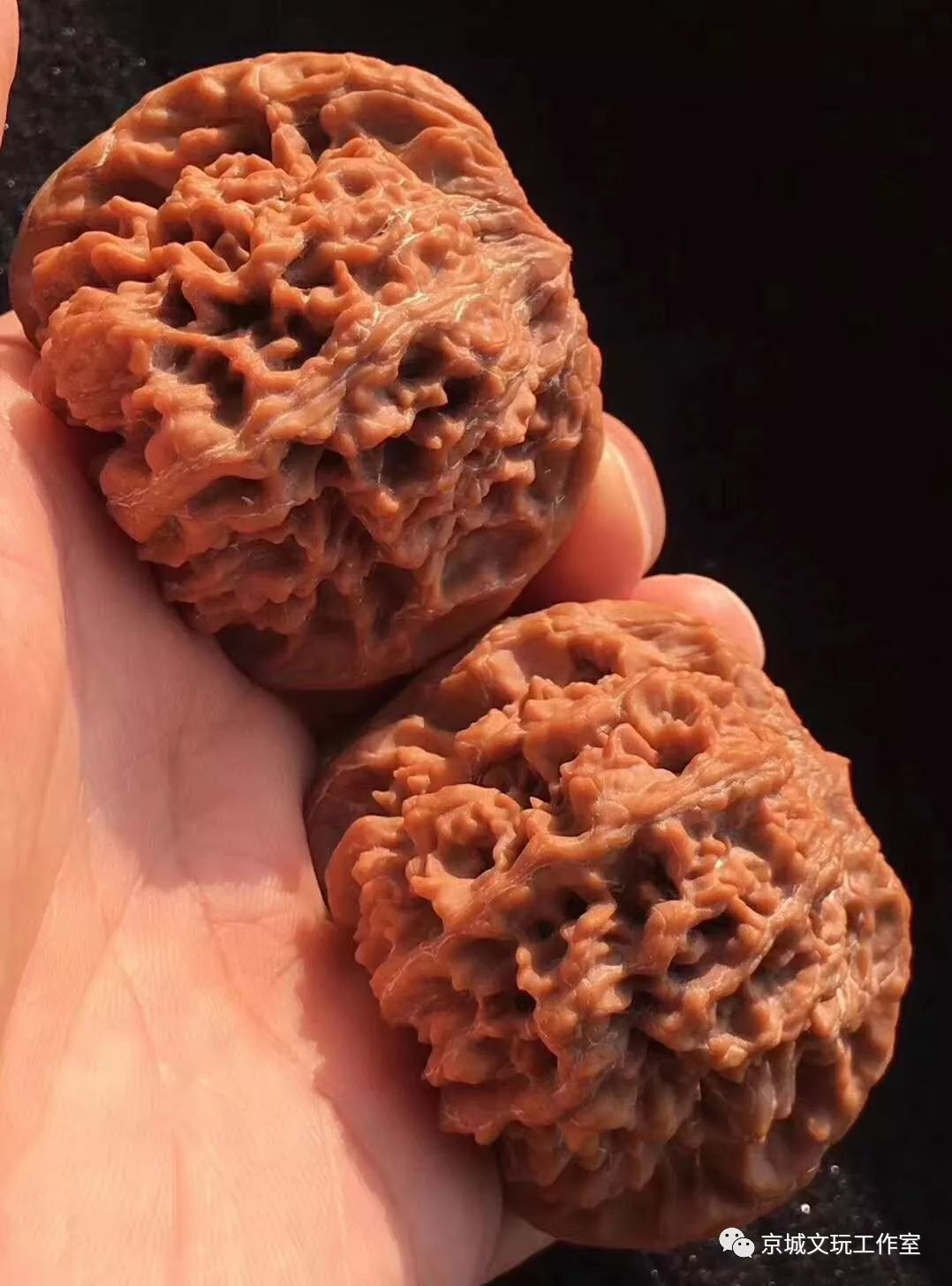 文玩核桃都是哪个地方的,你知道核桃原本是什么样的吗