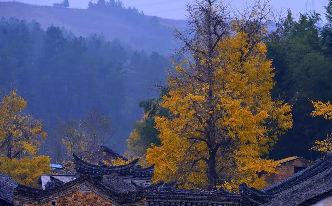 秋季人少景美的小众旅行地,最清静优雅的旅游之地