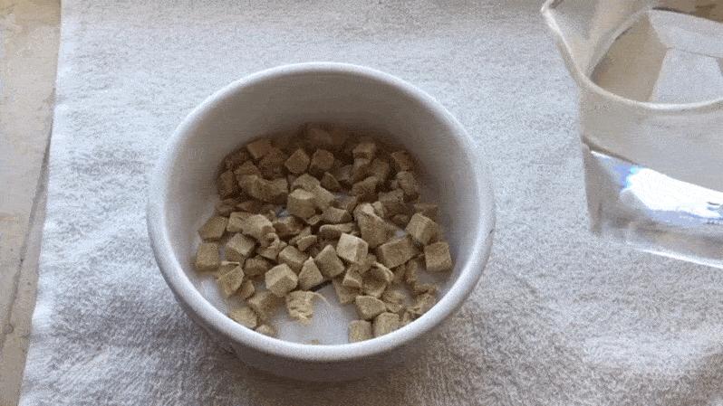 注意这6点让猫咪远离肾脏疾病,猫咪多喝水避免的疾病有哪些