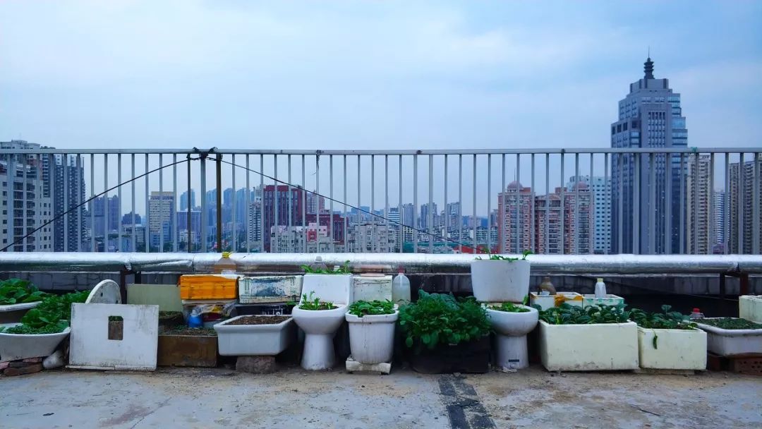 天台李子柒,大爷大妈们活的多么潇洒