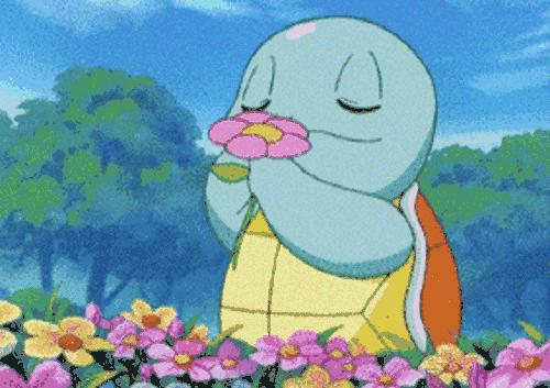 买鹦鹉被抓几年可以判刑,非法出售幼鸟案件