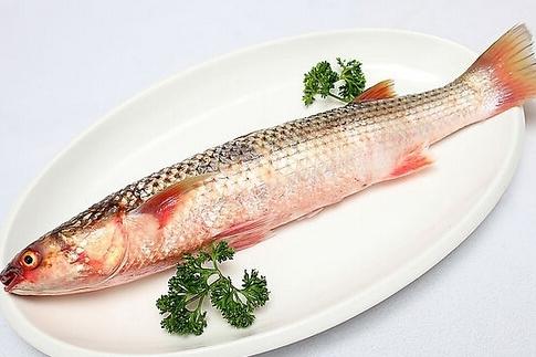 家养的草鱼苗可以长多大啊,家养草鱼多久喂一次