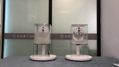 巴慕达风扇扇叶,巴慕达中国版多少钱