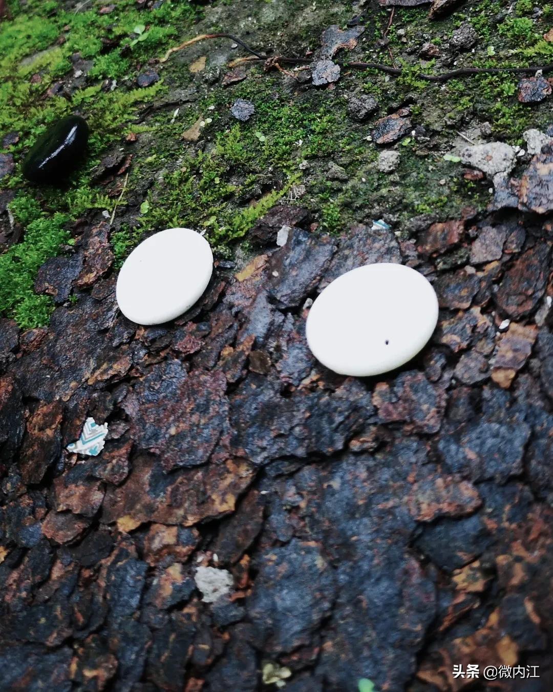 你好四川完整版,你好四川录音