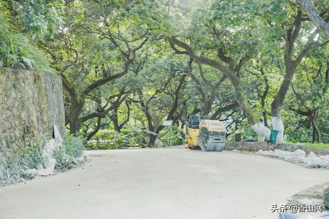 珠海鲜为人知的一面,珠海有名的花园