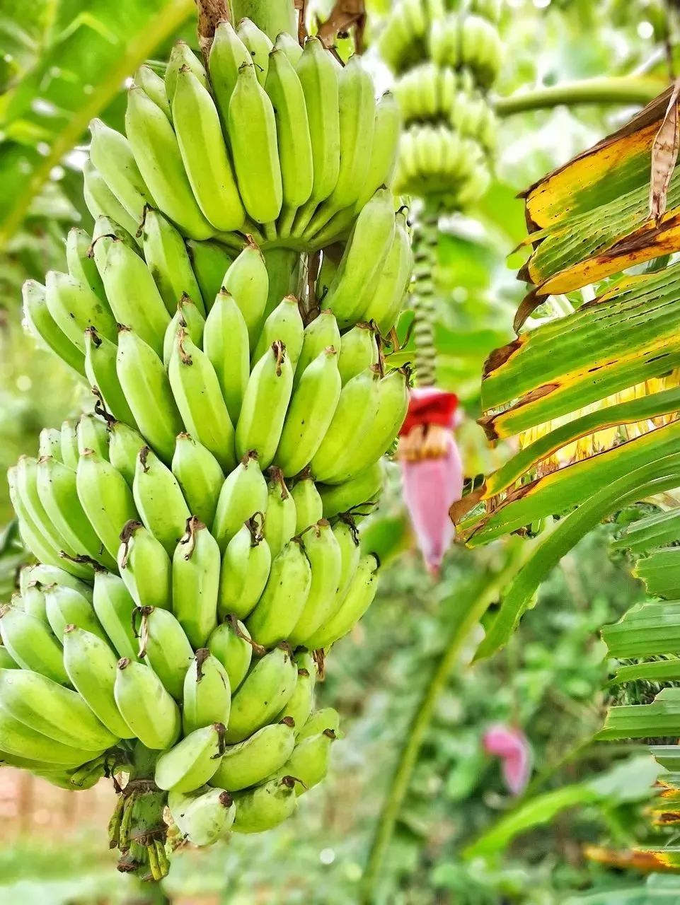 距海南20km有片处女地，比台湾风情比三亚便宜，路过都错过了