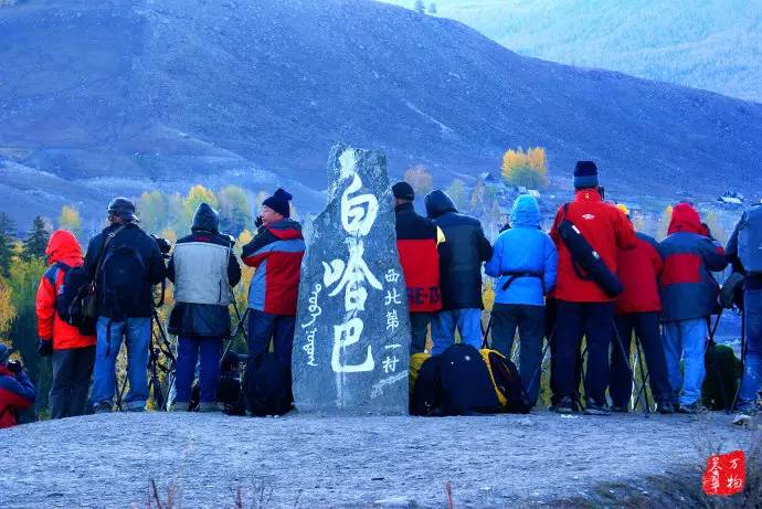 中国鸡尾,中国鸡尾巴