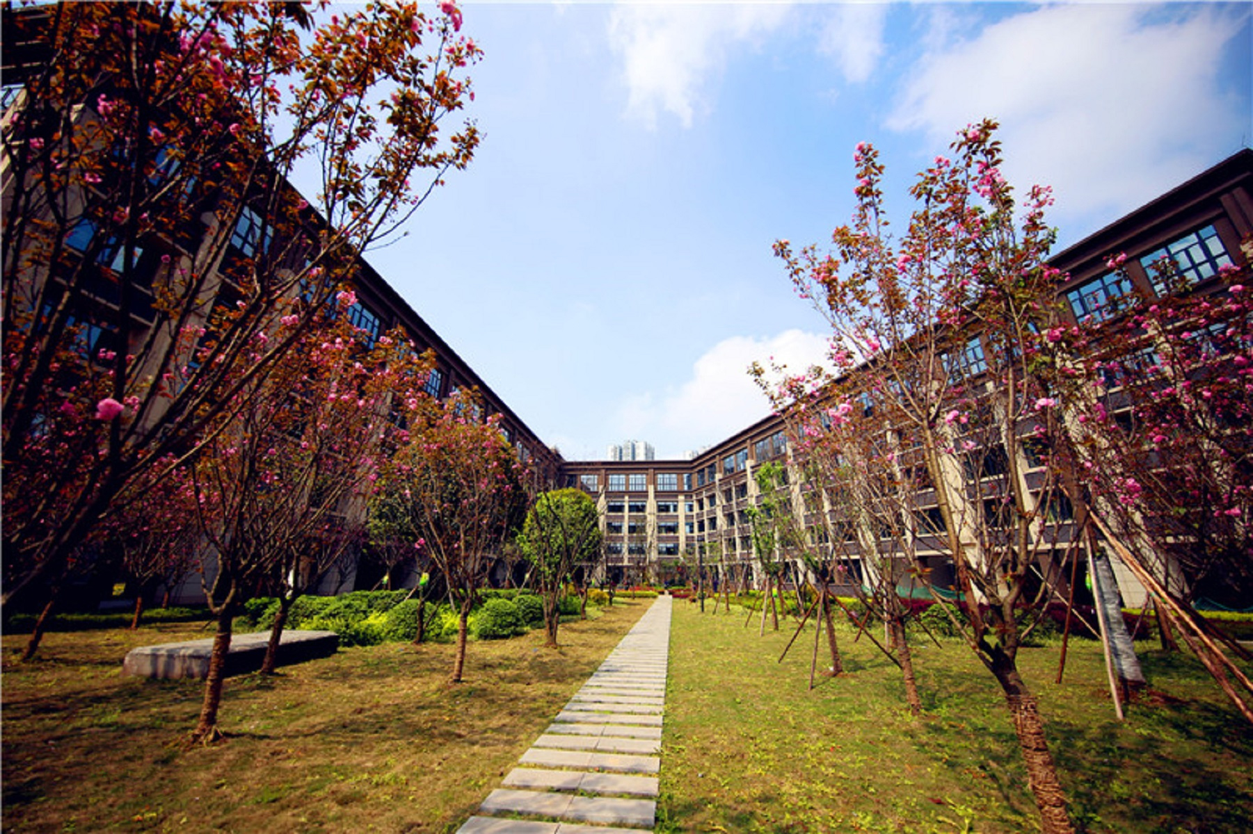 重庆哪所学校环境最好,重庆环境最差的学校