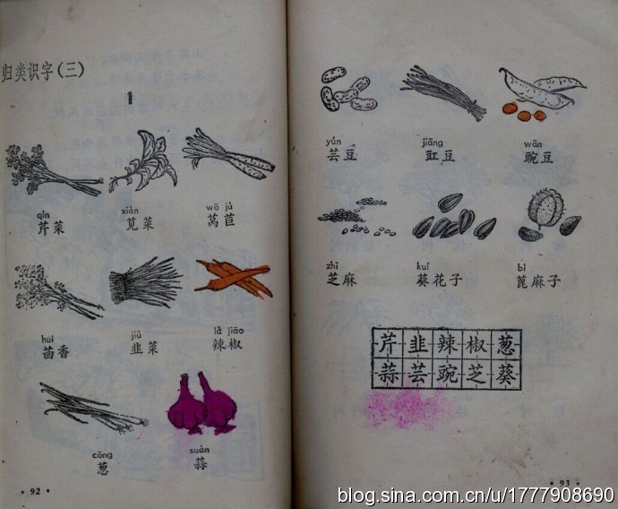 五年制小学语文课本80后回忆,80后一代人的上学生活回忆