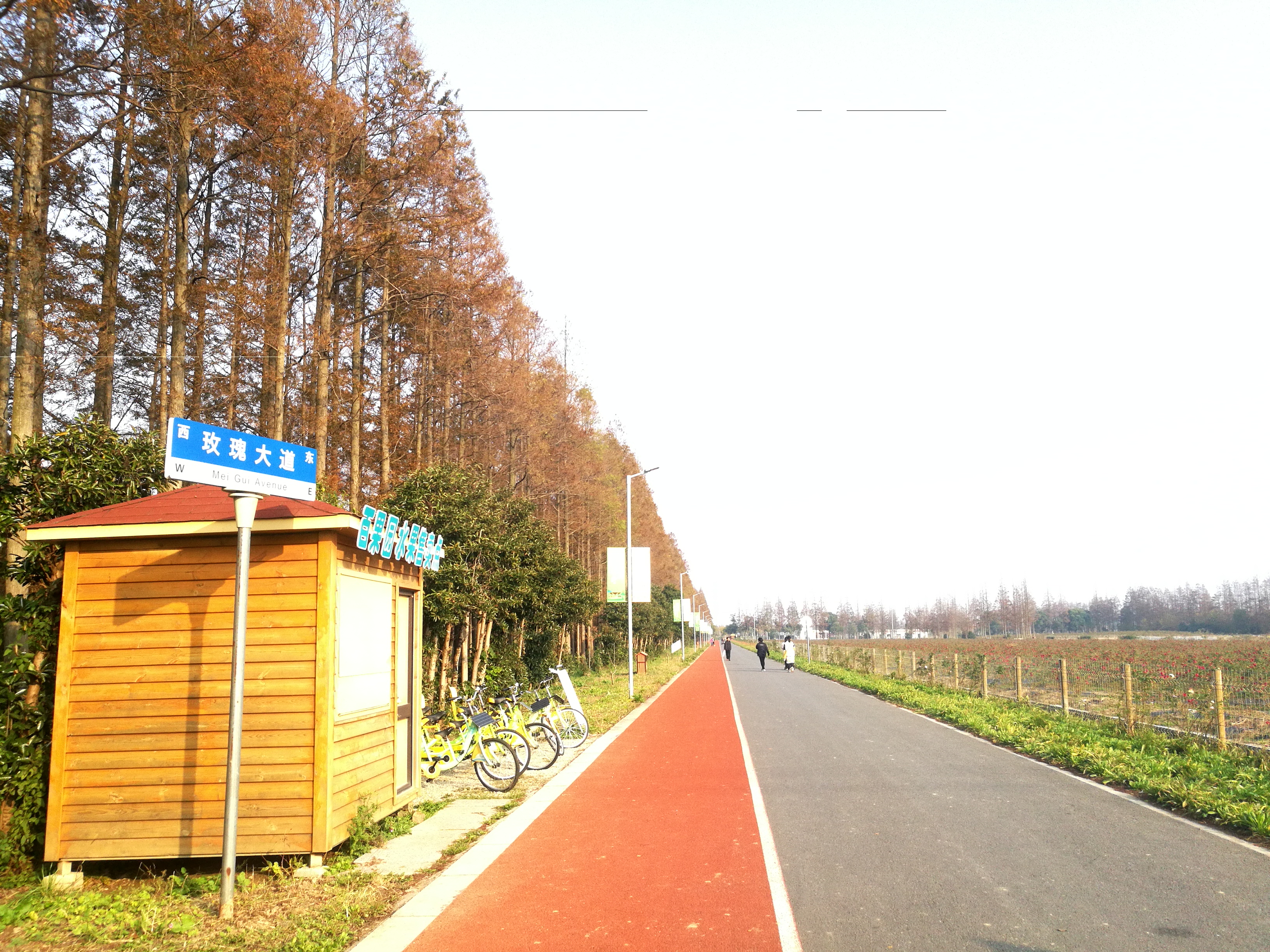 上海长兴岛郊野公园可以看见海吗,长兴岛郊野公园离上海站有几公里