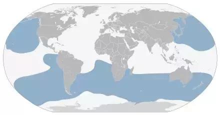 这个新西兰小岛,隐藏的惊世秘密