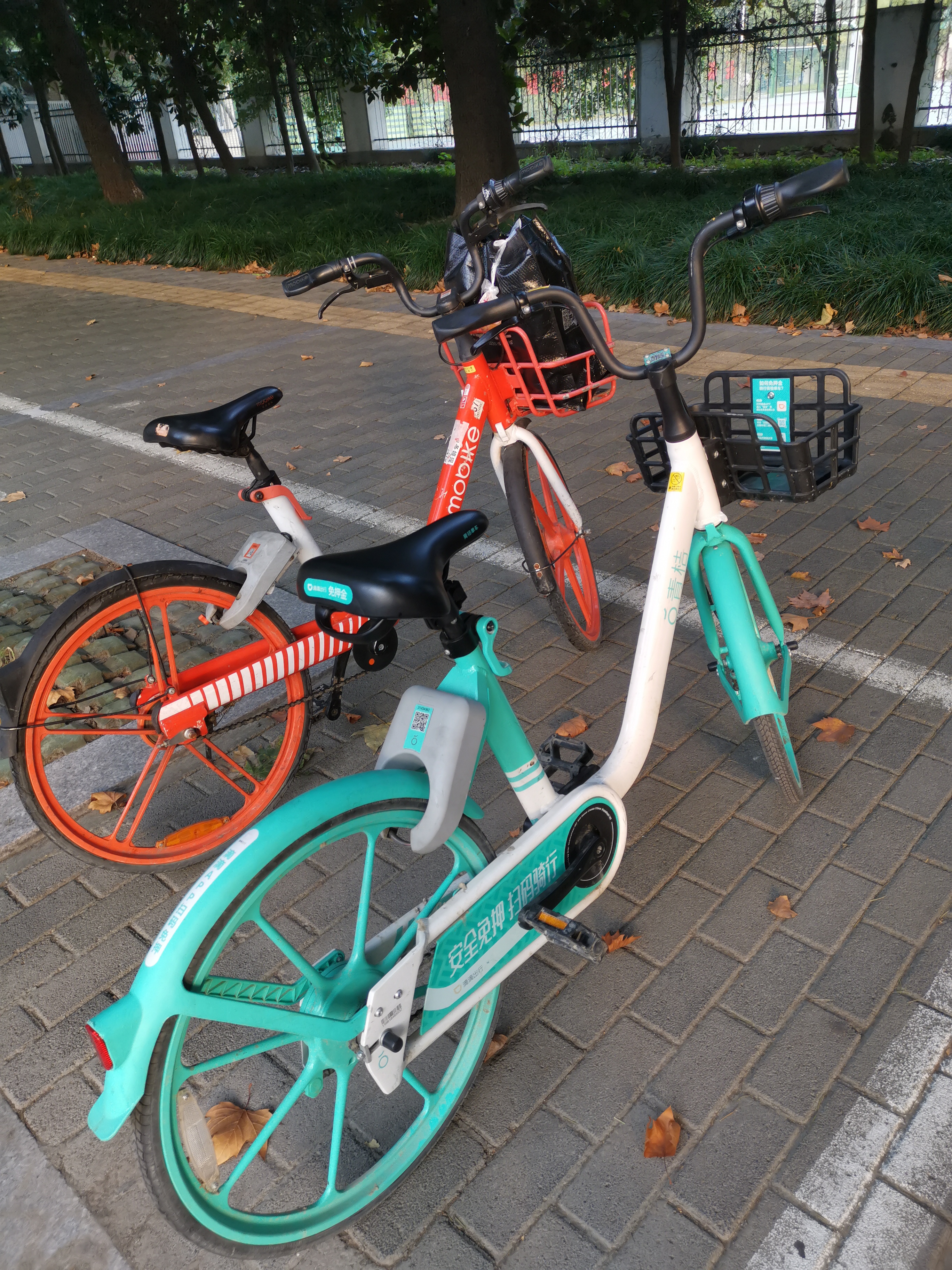 东极岛最合理的游玩攻略,多晚都要去海边