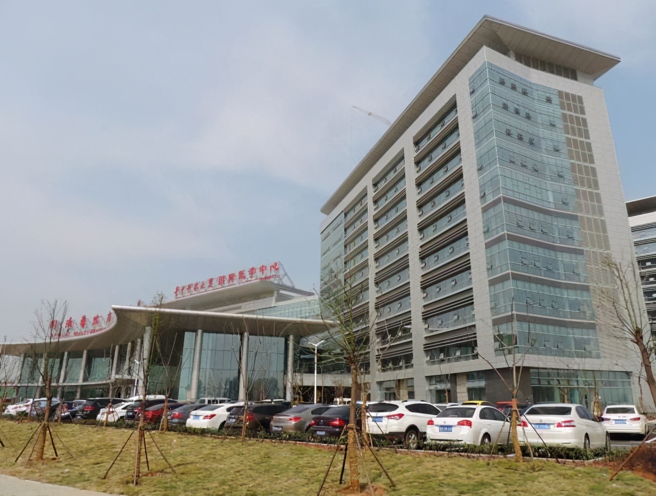 开挂了！比肩世界的爆款区域利好多到数不清！一般人已高攀不起