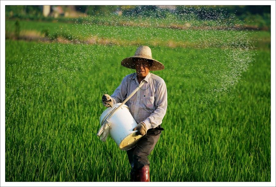 新农业和农业啥区别,什么是农业