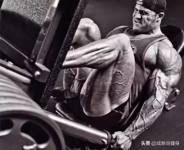 运动膝盖疼,可能是你股四头肌不够发达。几个动作改善股四头肌