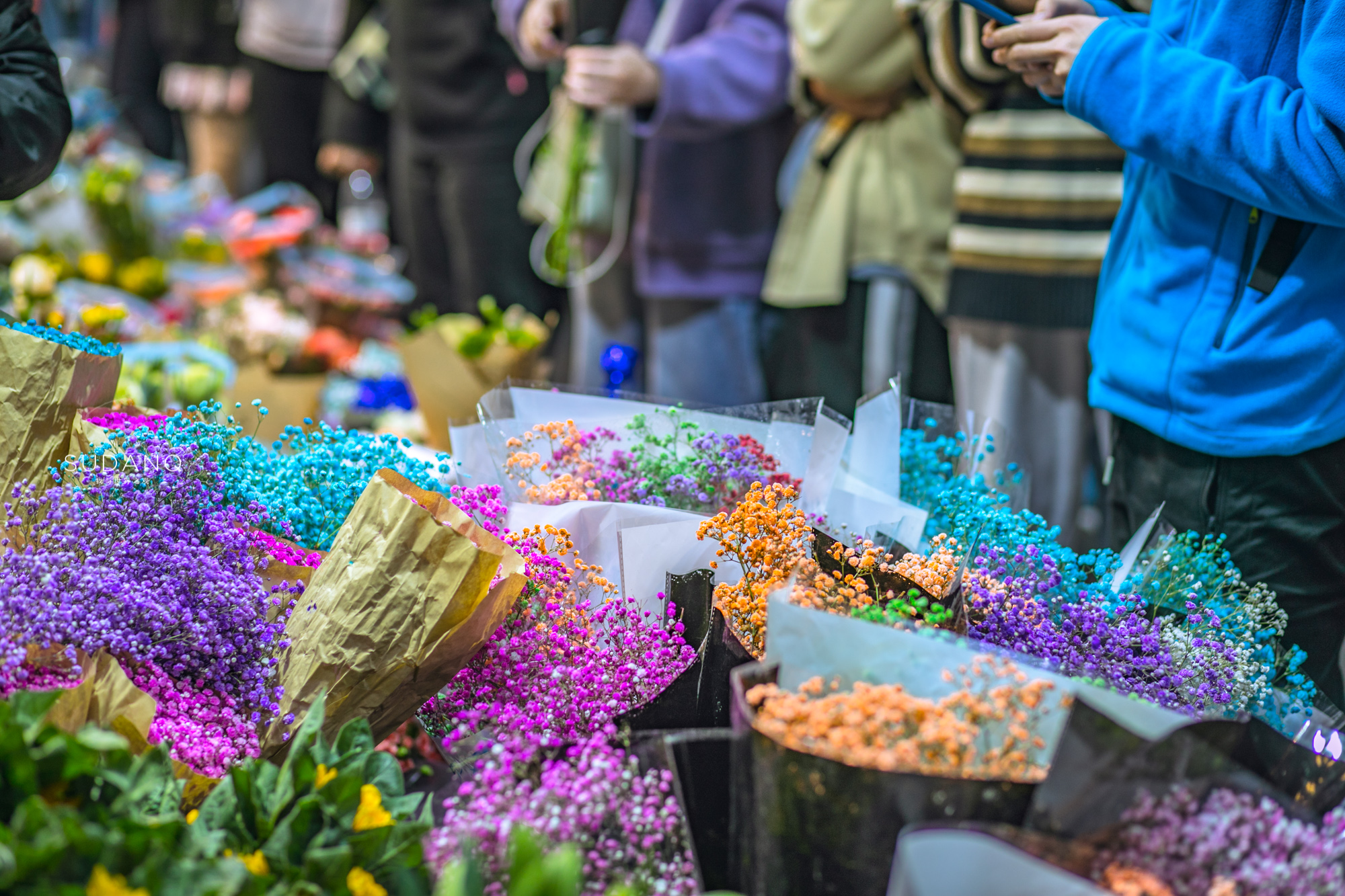 武汉铁机路花市,武汉解放公园花市
