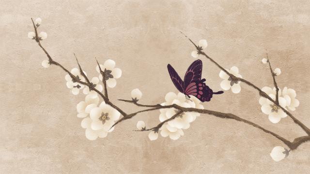 过敏性鼻炎能通过中医调理吗,正气不足导致过敏性鼻炎