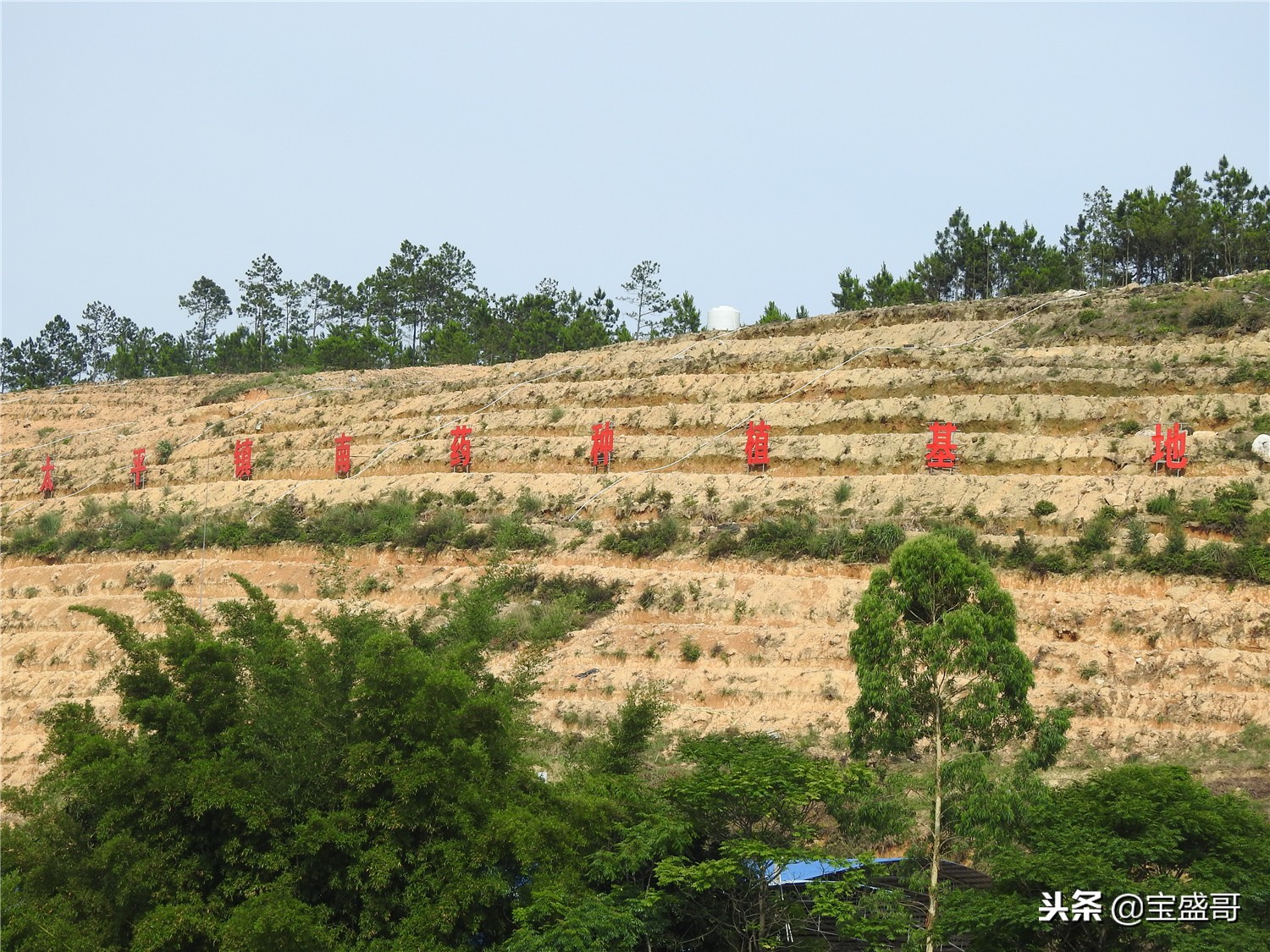 罗定值得人去的地方,罗定的一处美景