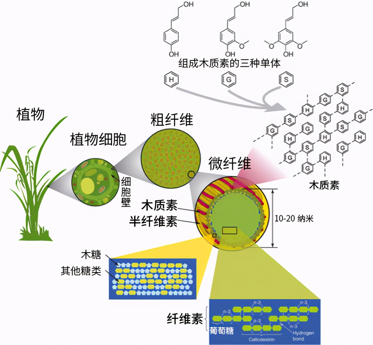 牛太牛了！牛胃竟然能消化塑料，科学家：世界难题不难了