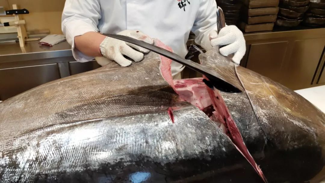 长春蓝鳍金枪鱼,长春鳌虾刺身