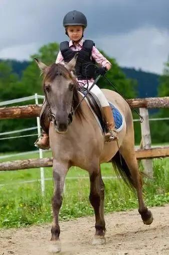 大连铭湖牧场和三寰牧场区别,大连铭湖牧场现在草绿了么