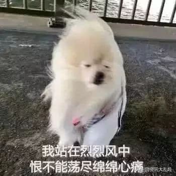 全能气垫平价好用洗面奶,你见过可以吃的面膜吗