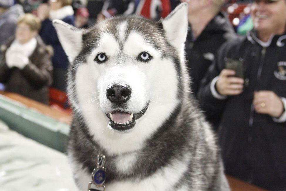 康涅狄格大学和普渡大学,康涅狄格大学相当于中国哪个大学